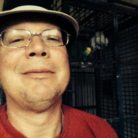 Steve Wood