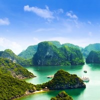臻果儿