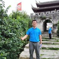 Shine Wang