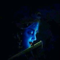 Shikha Pachauri