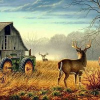 Bob Tessier