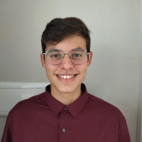 Vinicius Soares Ribeiro