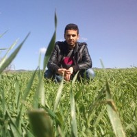 Mohammed B