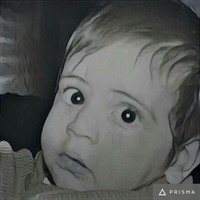 amir mohamad mehrabipour