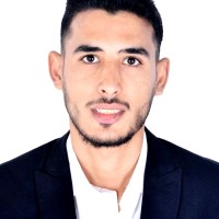 Hossam Amer