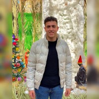 Fady Ayed