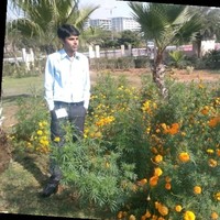 Shakti M