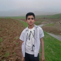 Zanyar Mando