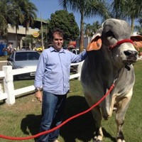 Orley José Carvalho Coelho