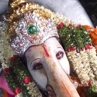 Raju Dhatrika