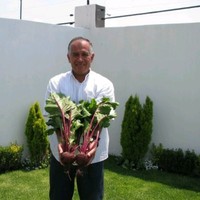 J. Leandro Mendoza Cuenca