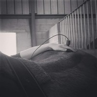 Chiron Therapy