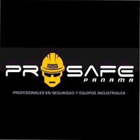 Pro Safe Internacional