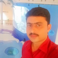 Raja Gurjar