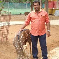Prasad Rai