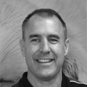 David. Schmidt