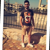wissam saifeddin