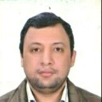 Abd El Maksoud Kamal, Cma, Fmva, Dipifrs In Progress
