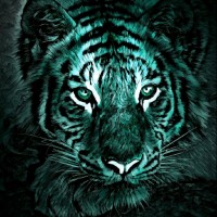Tigre _ Bianco`E Ne-Ro _ Smeraldo