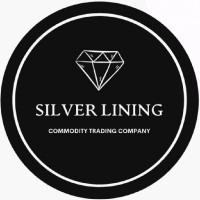 Silver Lining