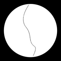 刘佳欣