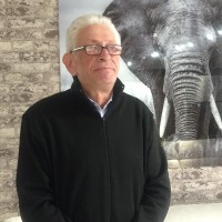 Vladimir Vaisman