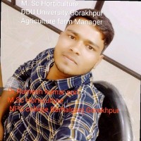 Ramesh Kumar Puri