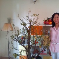 Anh Tu Duong Minh