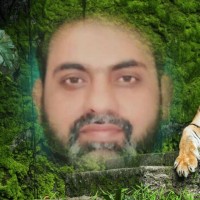 Shahzad Hussain
