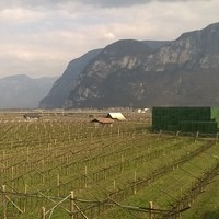 Paolo Dalla Pria
