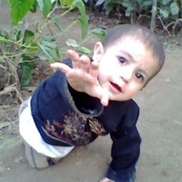 aifaz memon