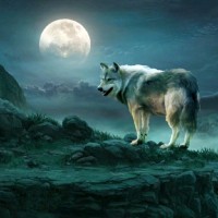 ALONE wolf