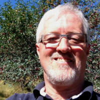 Mark White