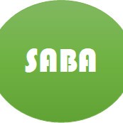 SABA Engineering and Inspection Services