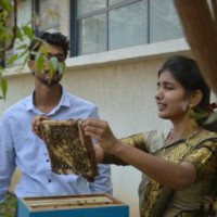 Teja Ghorpade