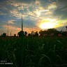 Sharad Batule