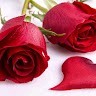 shaik rameeza
