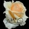 Fatima Sy