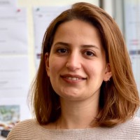 Parya Ektefaei