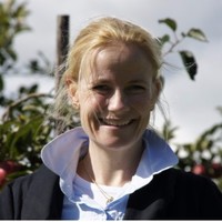 Stefanie Hesselink