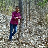 Veer Solanki