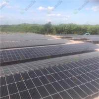 Laney Bluesun Solar