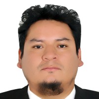LUIS MIGUEL CASTILLO LOZANO