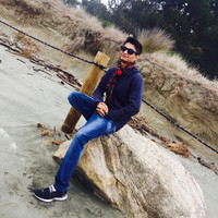 Manish Goyal