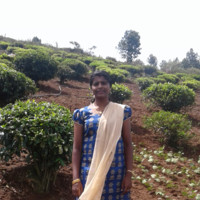 Sumathi Karthik