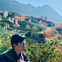 Nguyen Walle