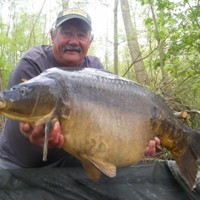 Tony Strevens