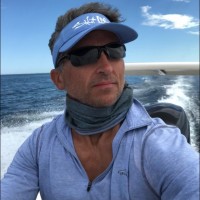 David Midura
