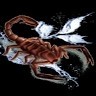 Nd Scorpion