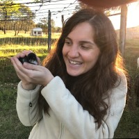 Niloufar Raeesi Chahartaghi